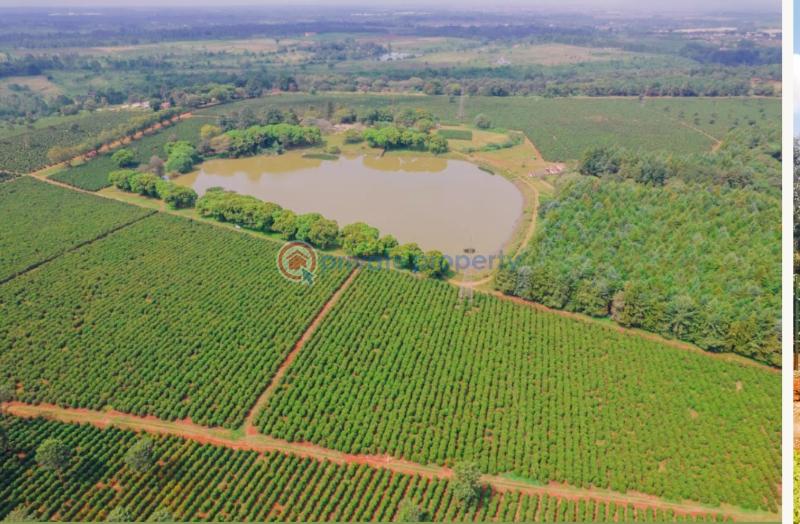 Residential Land For Sale Zuri Springs Estate Juja Kiambu - 30
