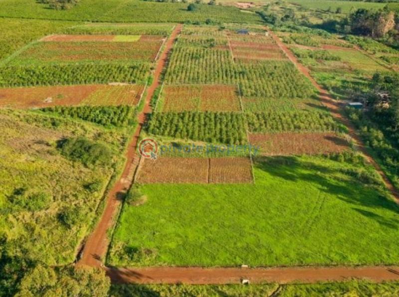 Residential Land For Sale Taratibu Estate Oaklands Ruiru Kiambu - 28