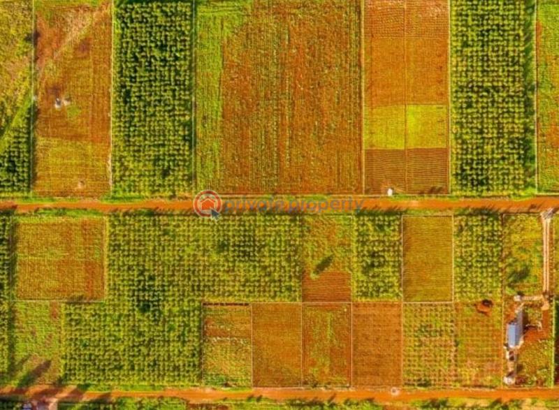 Residential Land For Sale Taratibu Estate Oaklands Ruiru Kiambu - 27