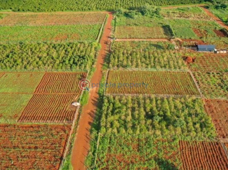 Residential Land For Sale Taratibu Estate Oaklands Ruiru Kiambu - 21