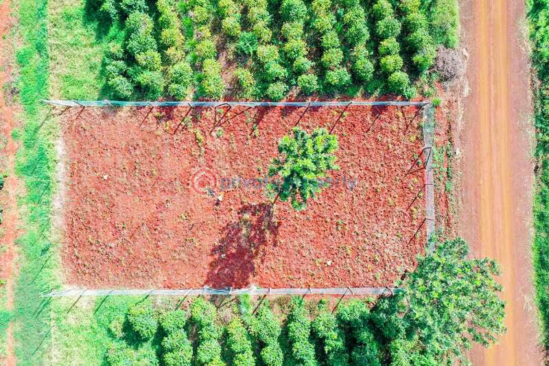 Residential Land For Sale Pazuri Park Estate Oaklands Ruiru Kiambu - 21