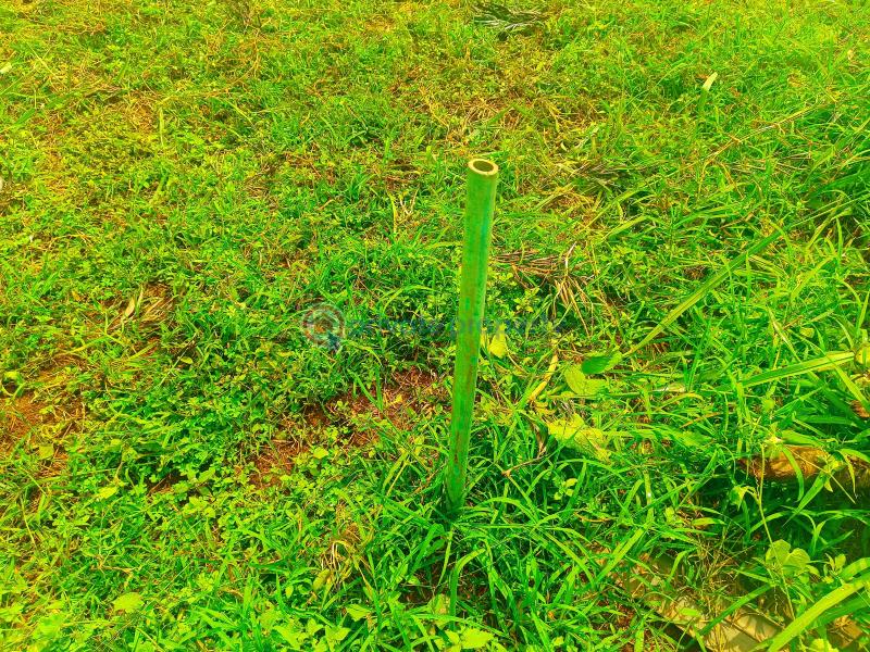 Residential Land For Sale Pazuri Park Estate Oaklands Ruiru Kiambu - 23