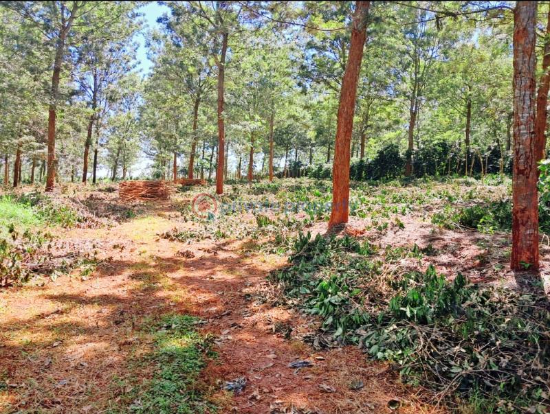 Residential Land For Sale Ayanna Waters Estate, Oaklands Oaklands Ruiru Kiambu - 32