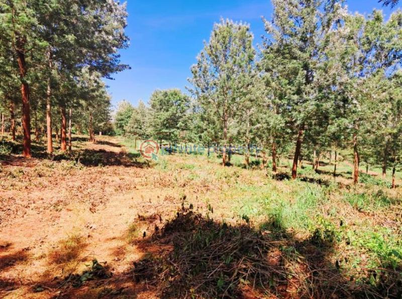 Residential Land For Sale Ayanna Waters Estate, Oaklands Oaklands Ruiru Kiambu - 33