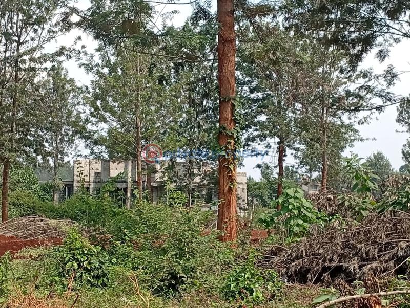 Residential Land For Sale Ayanna Waters Estate, Oaklands Oaklands Ruiru Kiambu - 29