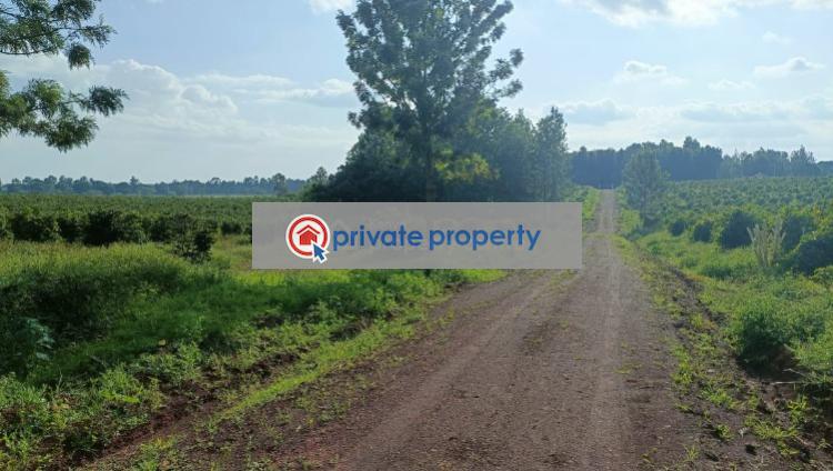 Commercial Land For Sale &nbsp;kandara Road Thika Kiambu - 6
