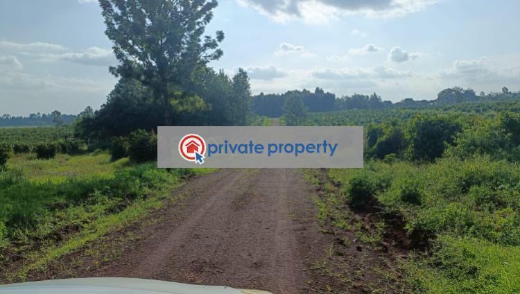 Commercial Land For Sale &nbsp;kandara Road Thika Kiambu - 4