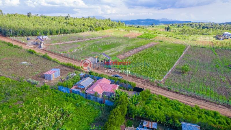 Residential Land For Sale Ndiguini Kamangu Kikuyu Kiambu - 6