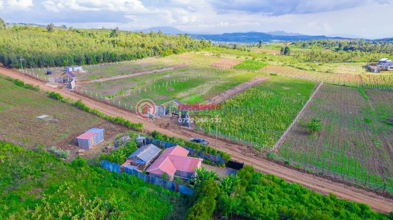 Residential Land For Sale Ndiguini Kamangu Kikuyu Kiambu - 9