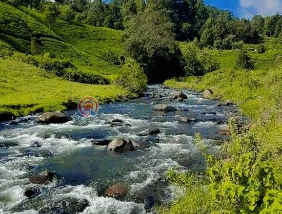 Land For Sale Gatundu South Githunguri Kiambu - 2