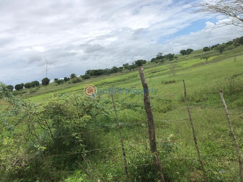 Land For Sale Malindi Mambrui Road Malindi Town Kilifi - 8