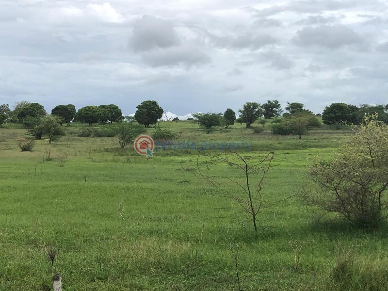 Land For Sale Malindi Mambrui Road Malindi Town Kilifi - 3