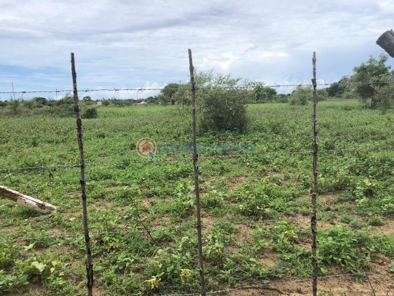 Land For Sale Malindi Mambrui Road Malindi Town Kilifi - 7