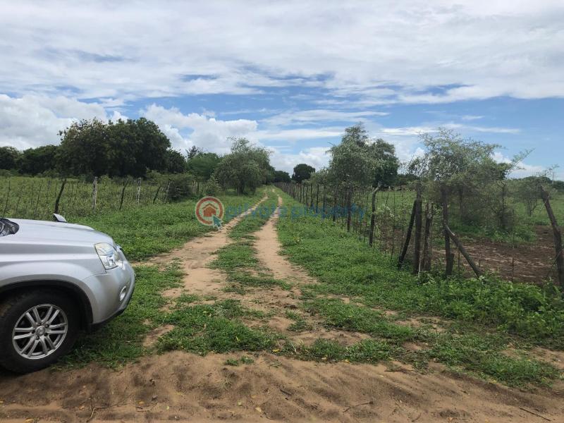 Land For Sale Malindi Mambrui Road Malindi Town Kilifi - 9