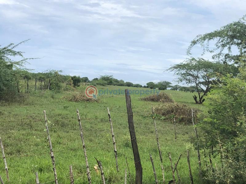 Land For Sale Malindi Mambrui Road Malindi Town Kilifi - 5