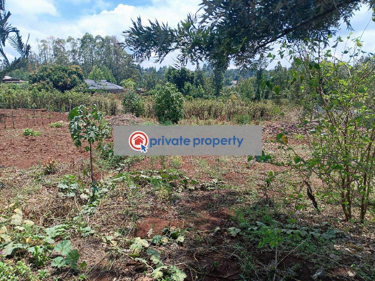 Residential Land For Sale &nbsp;migumoini Kikuyu Kiambu - 4