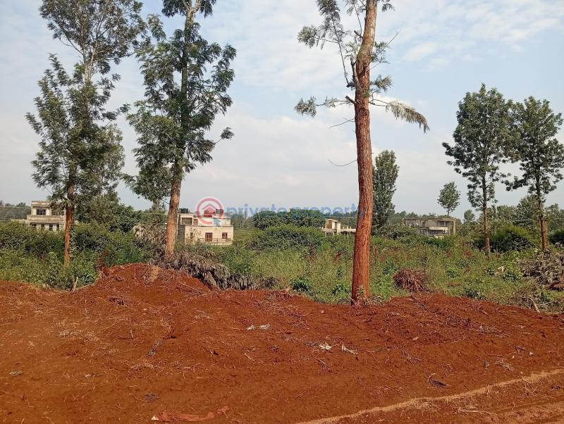 Residential Land For Sale Ayanna Waters Estate Oaklands Ruiru Kiambu - 28
