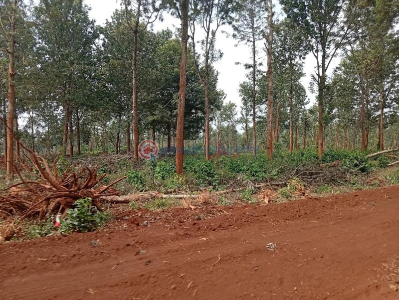 Residential Land For Sale Ayanna Waters Estate Oaklands Ruiru Kiambu - 30