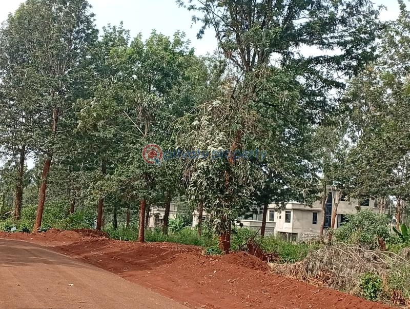 Residential Land For Sale Ayanna Waters Estate Oaklands Ruiru Kiambu - 31