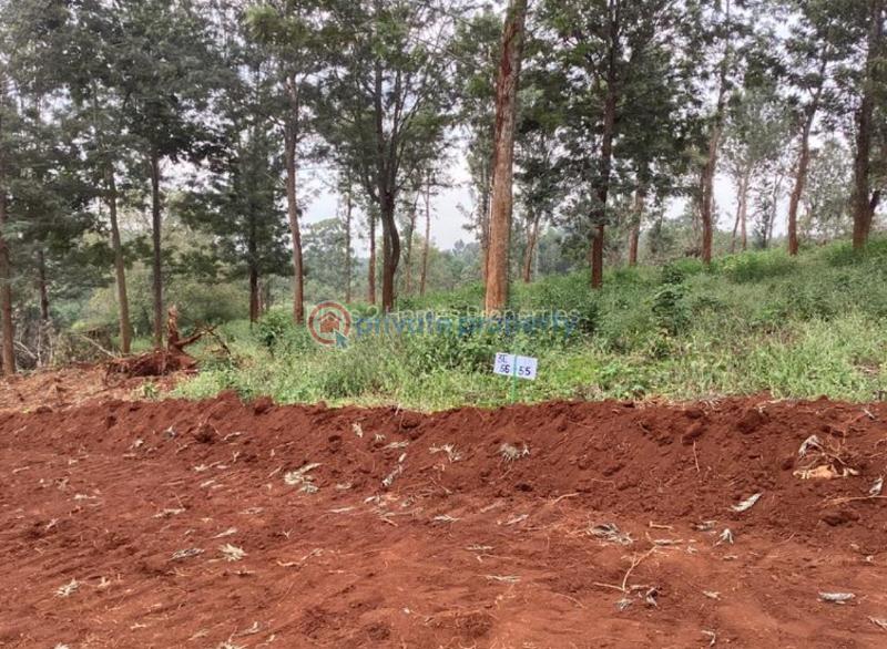 Residential Land For Sale Ayanna Waters Estate Oaklands Ruiru Kiambu - 22