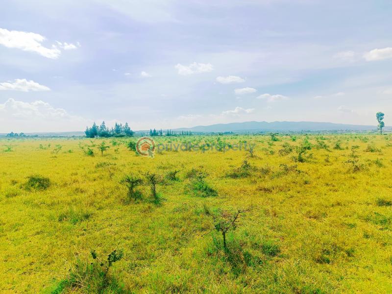 Residential Land For Sale Rangau Area Rongai Ongata Rongai Kajiado - 4