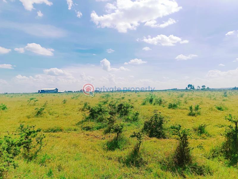 Residential Land For Sale Rangau Area Rongai Ongata Rongai Kajiado - 5