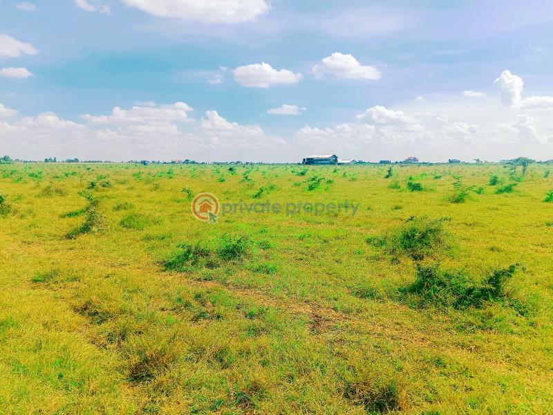 Residential Land For Sale Rangau Area Rongai Ongata Rongai Kajiado - 6