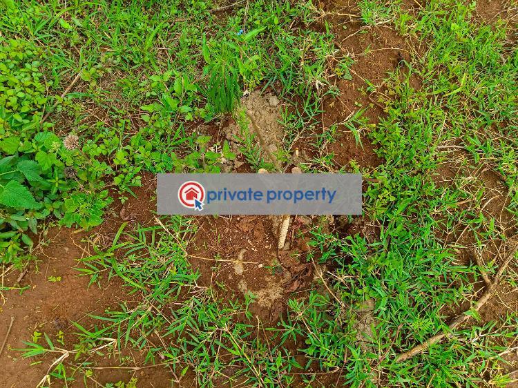 Residential Land For Sale &nbsp;damacrest School Neighborhood Thogoto Kikuyu Kiambu - 8