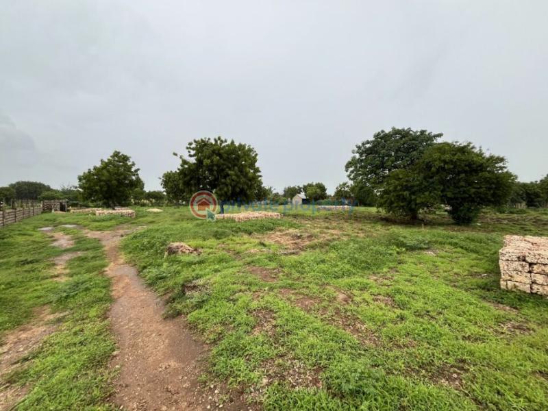Land For Sale Mnarani Kilifi - 2
