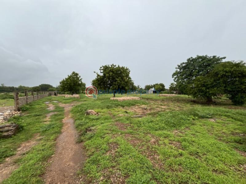 Land For Sale Mnarani Kilifi - 0
