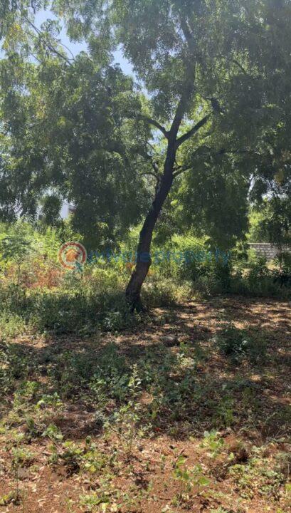 Land For Sale Nyali Mombasa - 4