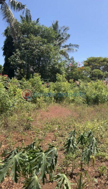 Land For Sale Nyali Mombasa - 2