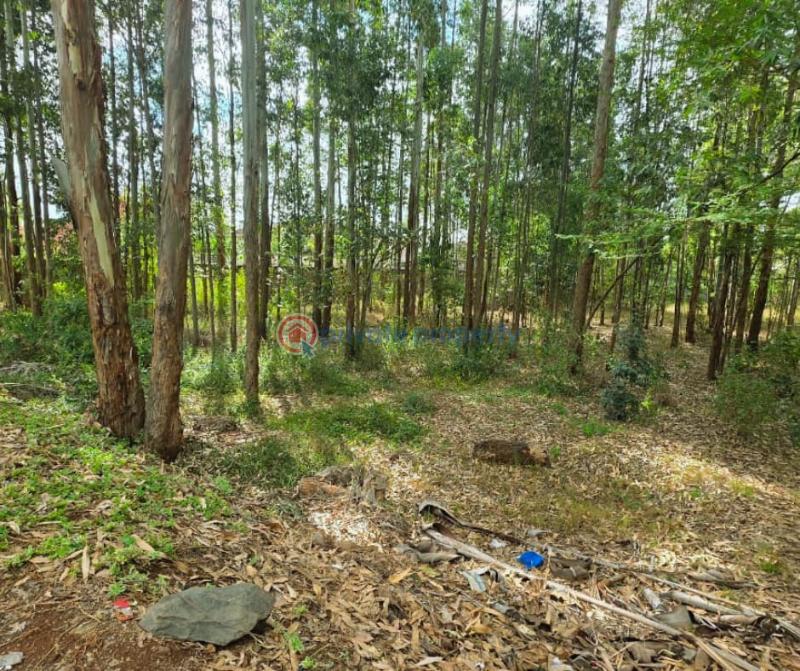 Land For Sale Ridgeways Westlands Nairobi - 1