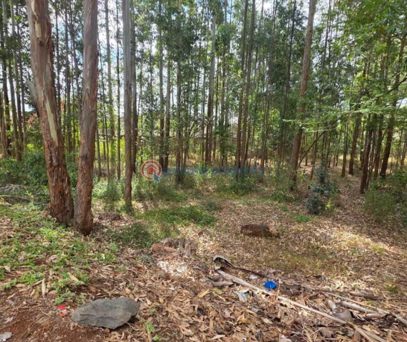 Land For Sale Ridgeways Westlands Nairobi - 0