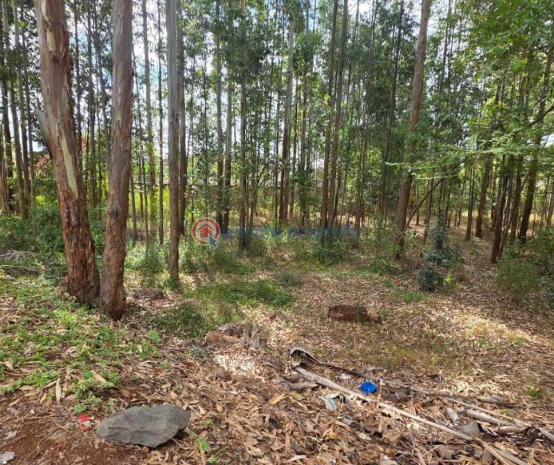 Land For Sale Ridgeways Westlands Nairobi - 2