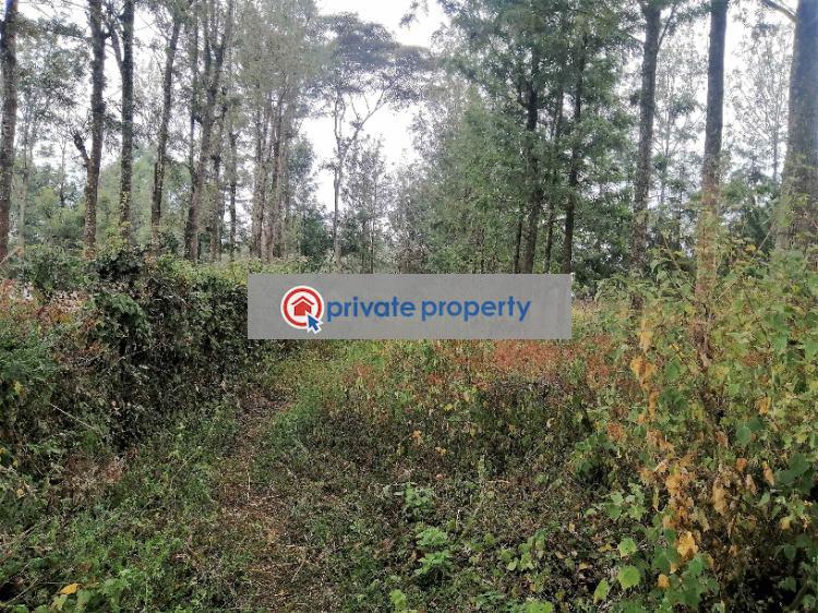 Residential Land For Sale &nbsp;olkeri Ngong Kajiado - 7
