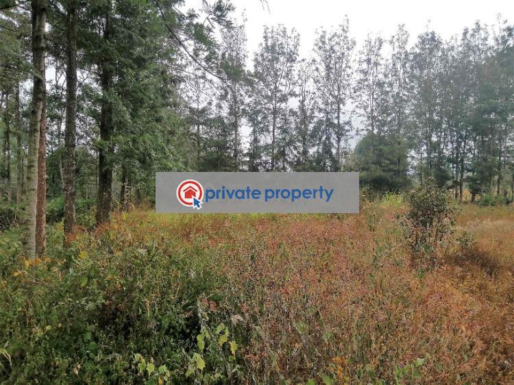 Residential Land For Sale &nbsp;olkeri Ngong Kajiado - 3