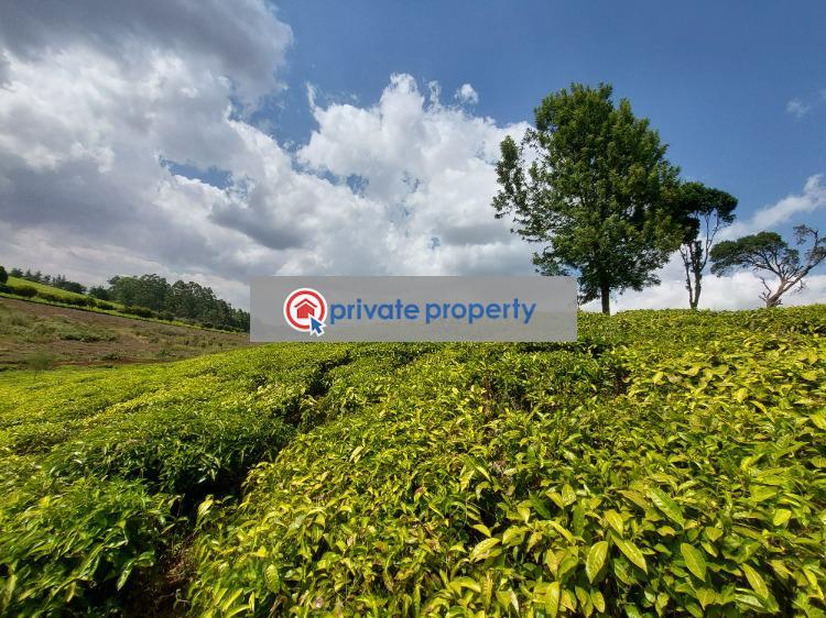 Land For Sale off Limuru Road Tigoni Kiambu (PID 2PADHM) Private