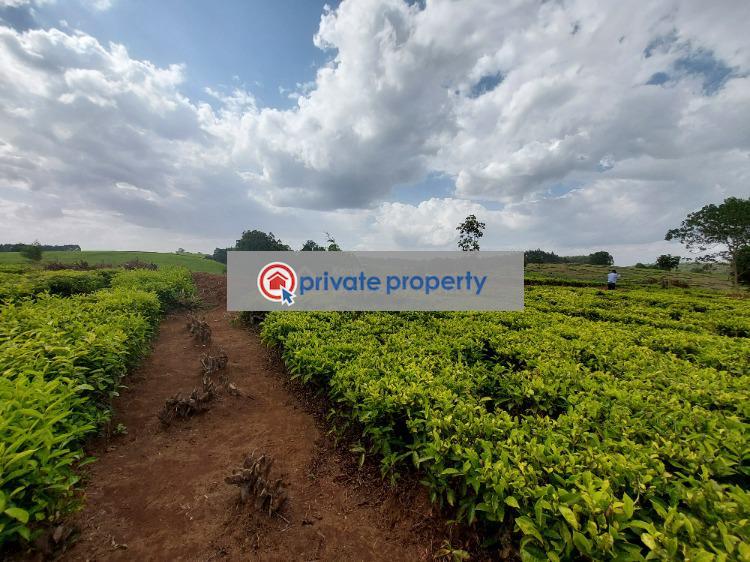 Land For Sale off Limuru Road Tigoni Kiambu (PID 2PADHM) Private