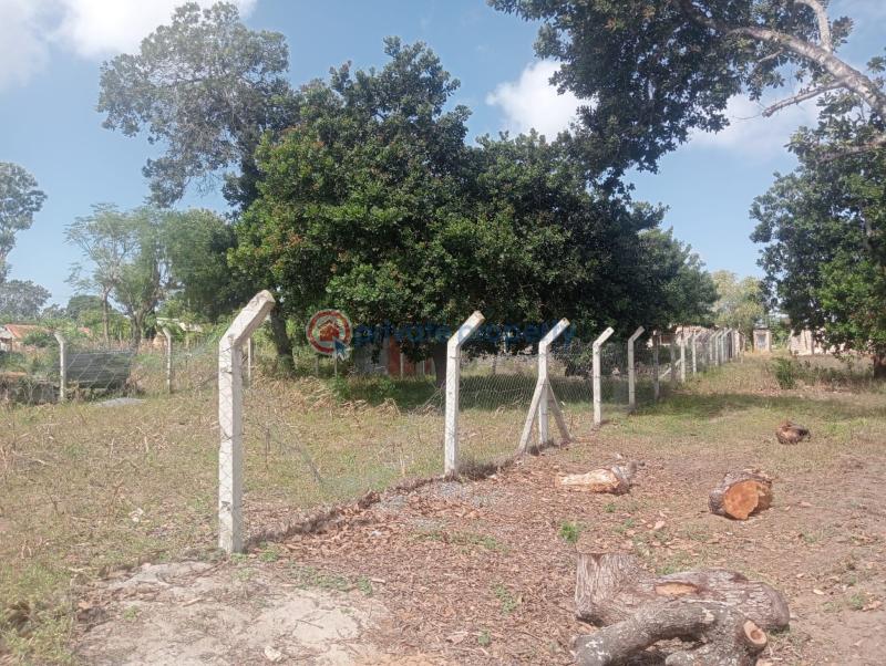 Land For Sale 🚨 Hot Investment Alert – Kilifi 🚨 📍 Near Pwani University Kilifi. Malindi Town  - 1