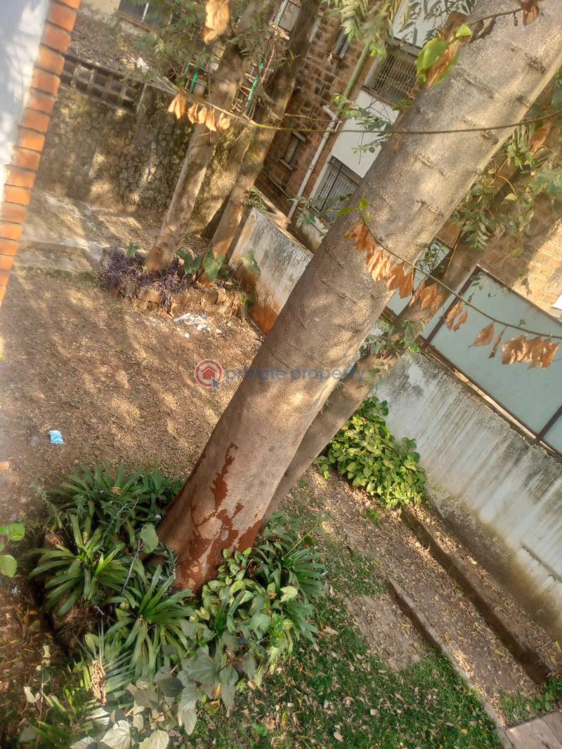 4 bedroom Commercial Property For Rent Close To The Oval Ring Road Westlands Nairobi - 5