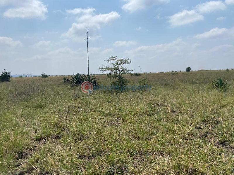 Land For Sale Juja South Estate Juja Kiambu - 2