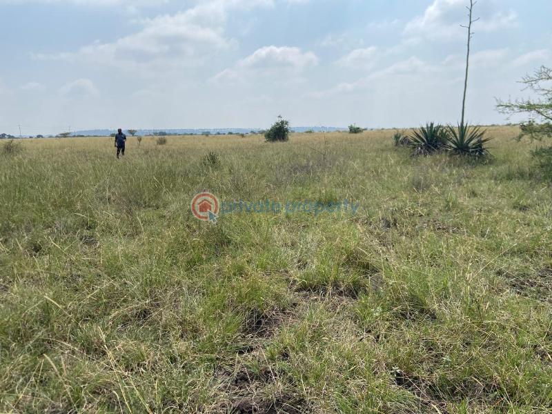 Land For Sale Juja South Estate Juja Kiambu - 5