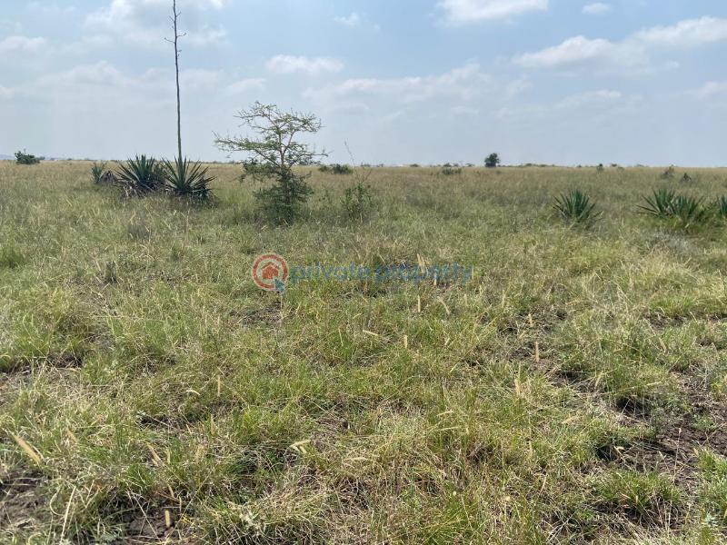 Land For Sale Juja South Estate Juja Kiambu - 3