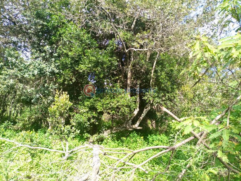 Commercial Land For Sale Keekonyokie (Kajiado)  - 1