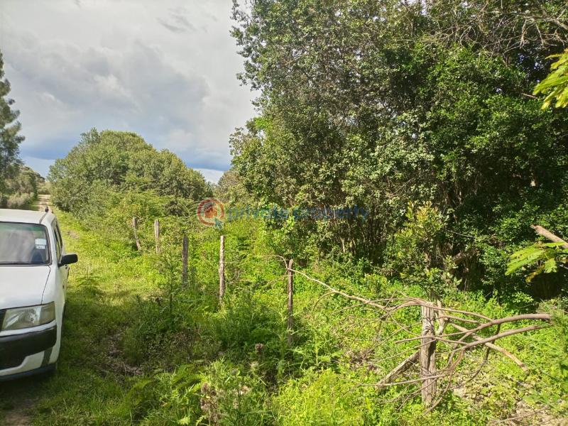 Commercial Land For Sale Keekonyokie (Kajiado)  - 3