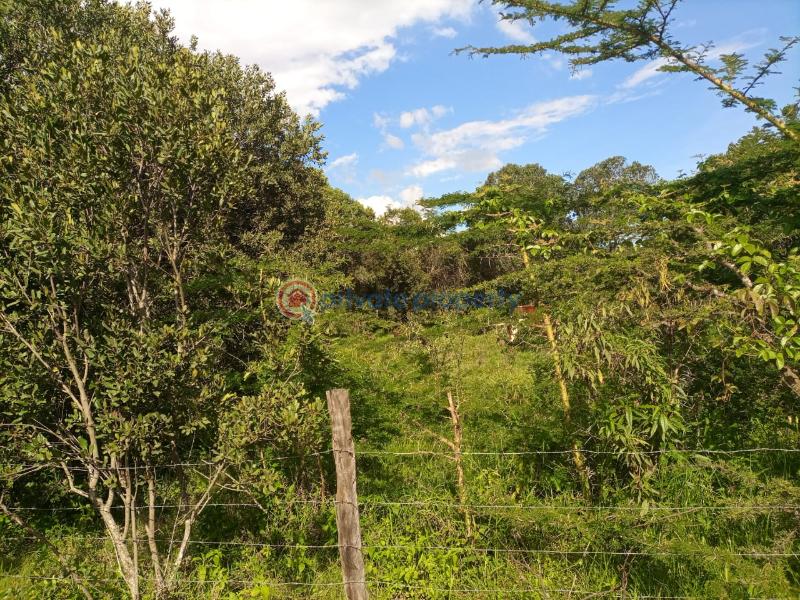 Commercial Land For Sale Keekonyokie (Kajiado)  - 4