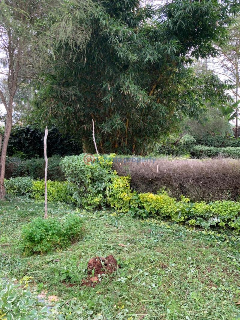 7 bedroom House For Sale Nairobi Karen  - 23