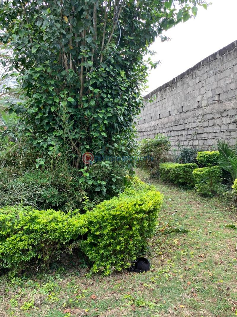 7 bedroom House For Sale Nairobi Karen  - 0