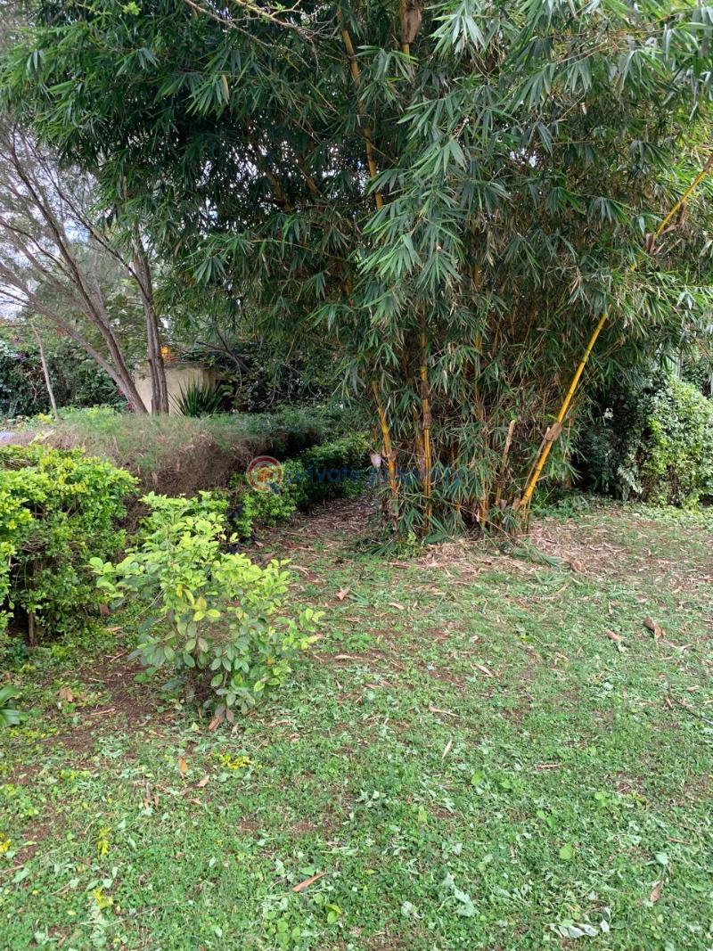 7 bedroom House For Sale Nairobi Karen  - 12